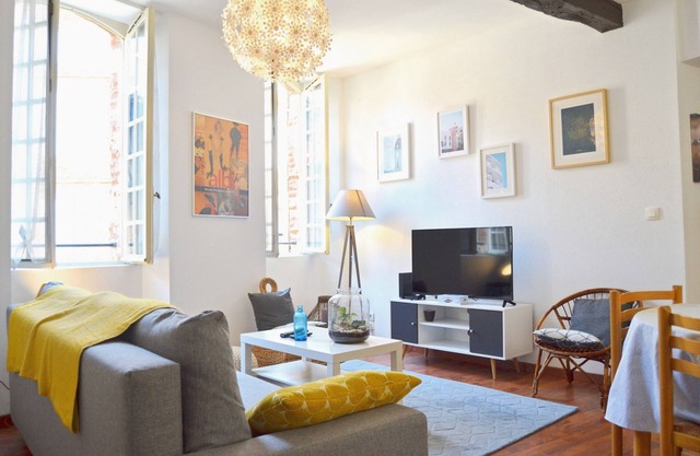 Le Chaud Vin, 2 bedrooms, historic center of ALBI, 2 steps from the cathedral