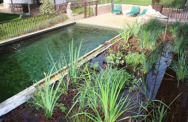 LE CLOS DES BURGONDES - gite SEDELEUBE