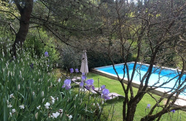 Le Clos Pastel