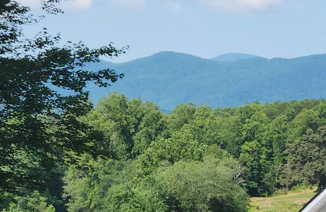 Leaf peeping views-minutes to downtown-stargazing-25 minutes to Asheville