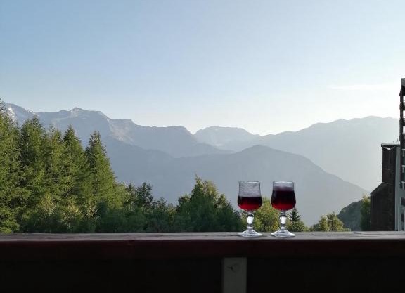 Les Bergers Alpe d'Huez Pied des pistes et piscine