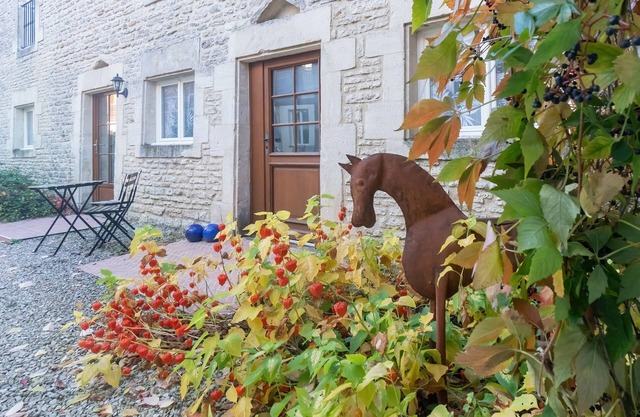 Les Chouettes - La Ferme des Tourterelles, Champagne Country