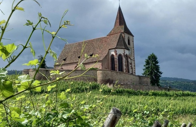 LES Cigognes Grand Duplex sur la Route des Vins