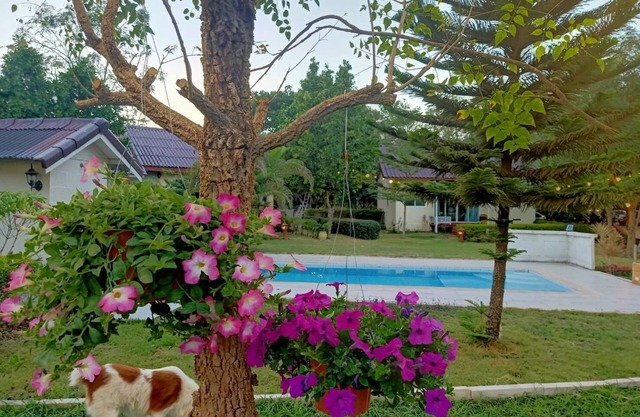 Les Collines Resort