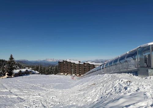 Les Marmottes
