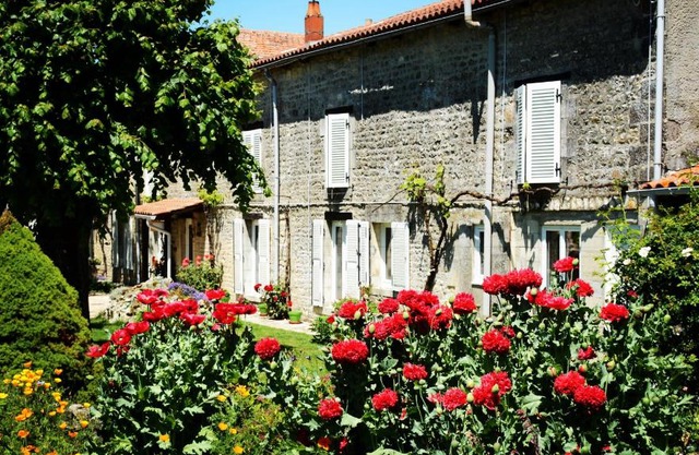Les noyers aulnay