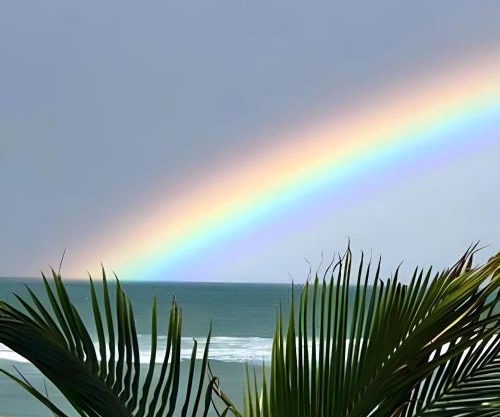 Licuri Praia de Algodões se hospedar na beira mar