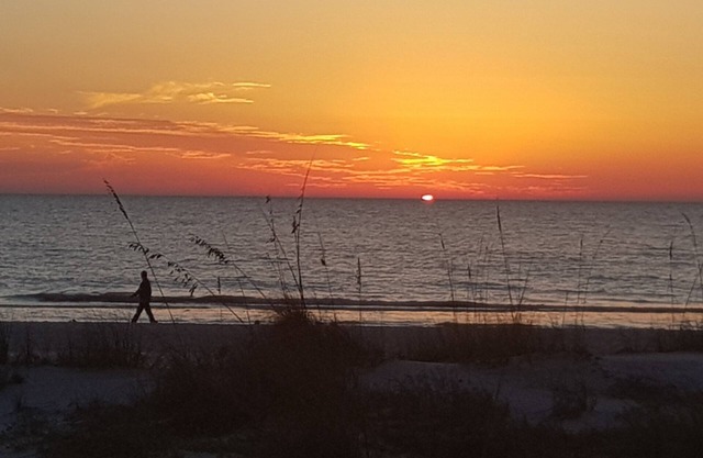 Lido/St. Armands, Sarasota-Walk to Beach & St. Armands, Private cottage w/grill!
