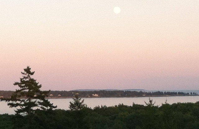 Like New Cottage/Spectacular Panoramic Ocean/Island Views/Sleeps Eight