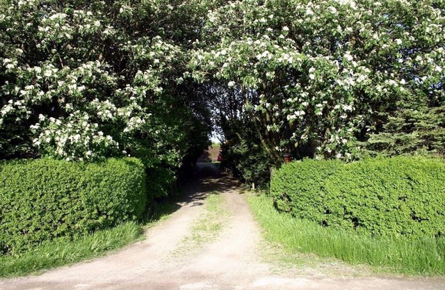 Lilla Huset på slätten B&B