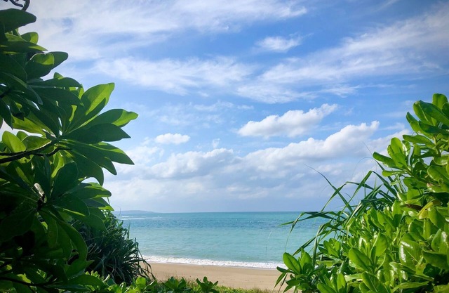 Limited to one group per day 1 minute walk to th /Kunigami-gun Okinawa