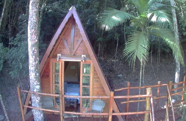 Linda Casa na Árvore, Rodeado por Vegetação Exuberante e os Sons da Natureza