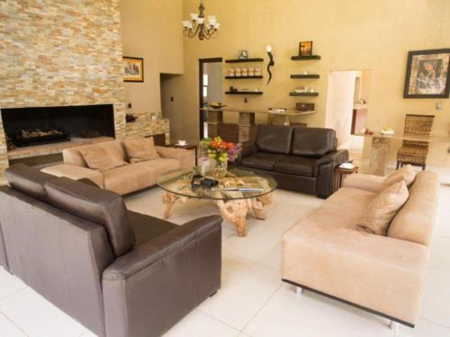 Lion and Cheetah Sanctuary