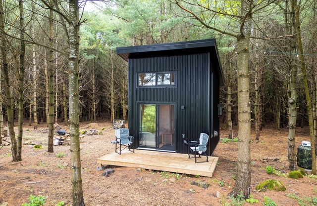 Little Cabin in the Pines