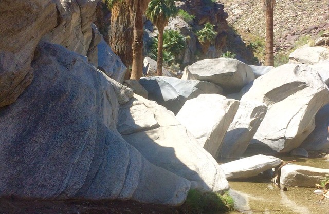 LITTLE GEM! LOW SUMMER RATES! Minimum 29 day stay