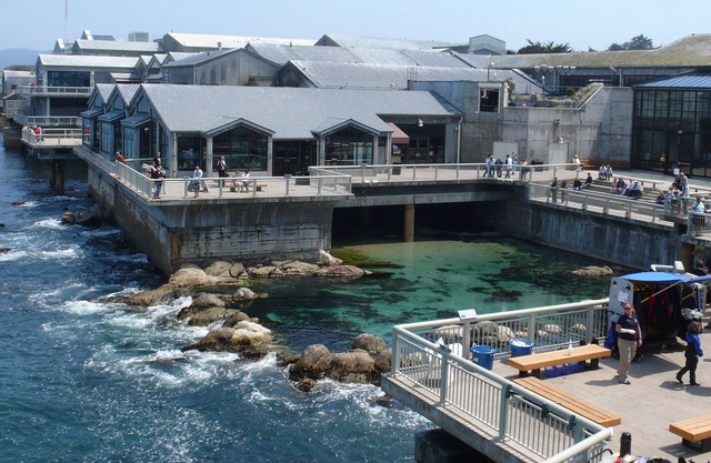 Little Jewel Box, Voted Top Monterey Rental, 12 Blocks to Ocean,