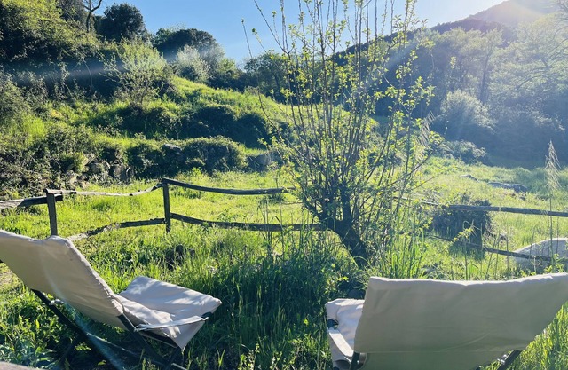 LITTLE QUIET CORNER FOR NATURE LOVERS .