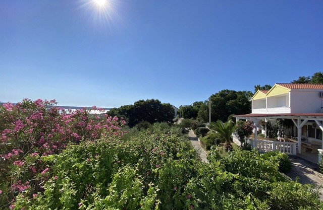 Living in the olive grove with a sea view