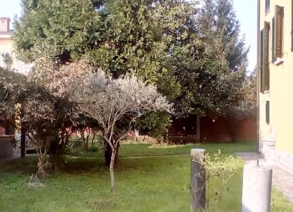 Locanda i Tarocchi