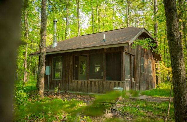 Located at the Heart of the Solana State Forest in Amongst the Forest Trees