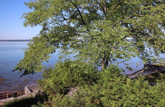 Location, location, location! Private - Waterview - Downtown Cottage