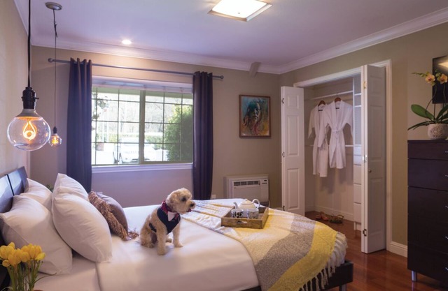 Lodge Executive Suite - The Lodge At Blue Lakes