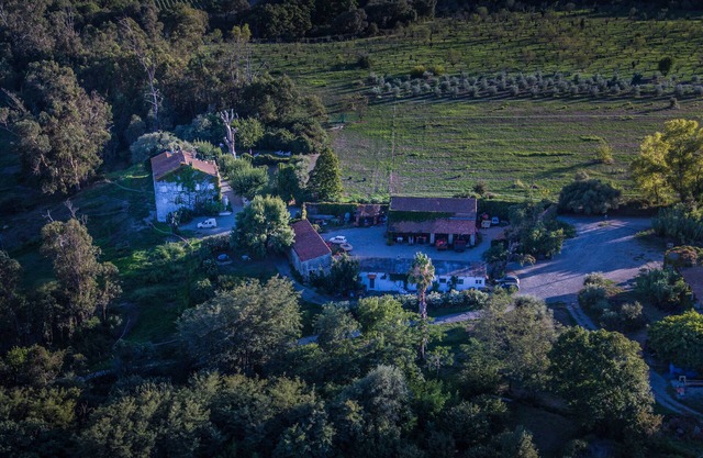 Lodging for 12 people with swimming pool in the heart of a wine-growing estate