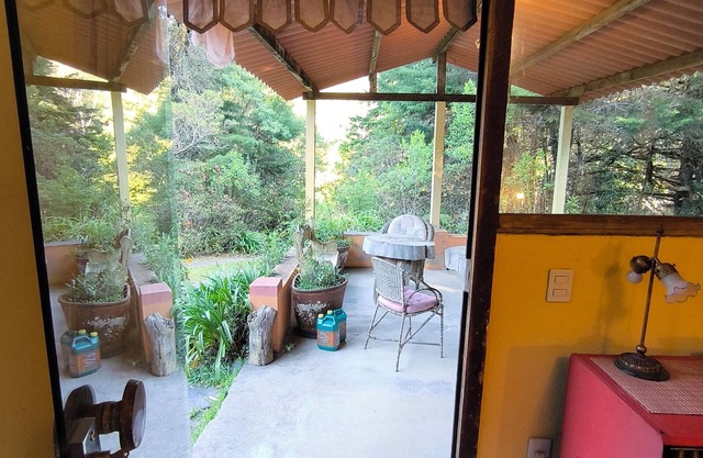 Loft na Floresta com Trilhas e Lago. Jardim Exuberante, Pássaros céu Espetacular