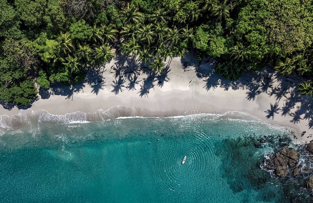 Los Vivos Beachfront Experience