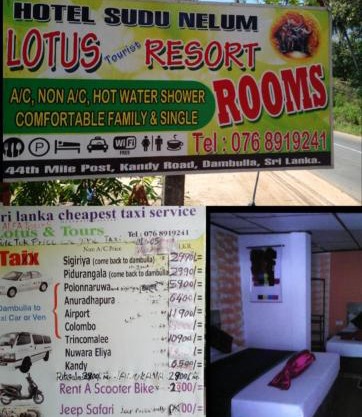 Lotus Inn Tourist Resort