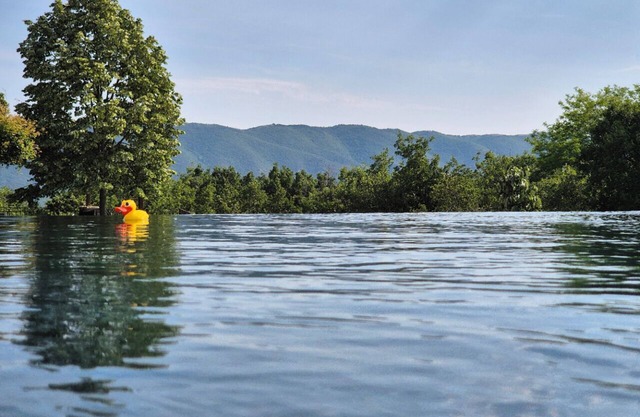 Lou Damisello - Villa with swimming pool