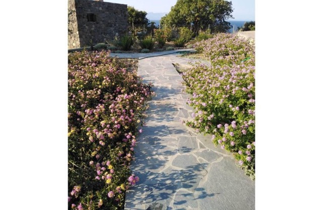 Loutra Olive Garden Stone House #3