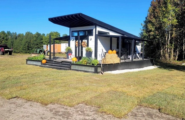 Love Highland Cows? Experience them up close in our tiny house in Jefferson, SC