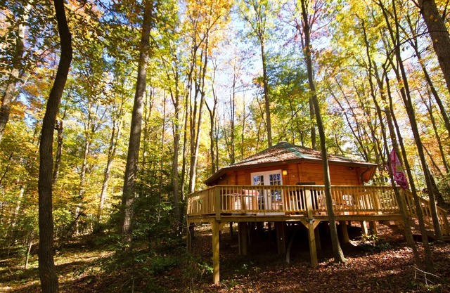 Love Shack Romantic Yurt