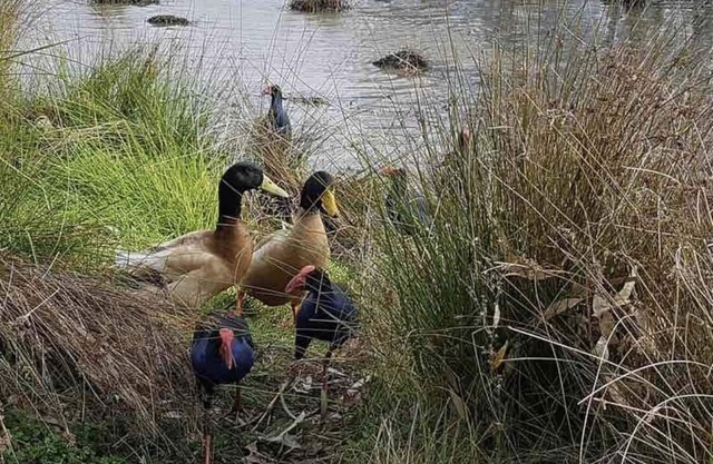 Lovely 2 bedroom apartment across from Shepp Lake.