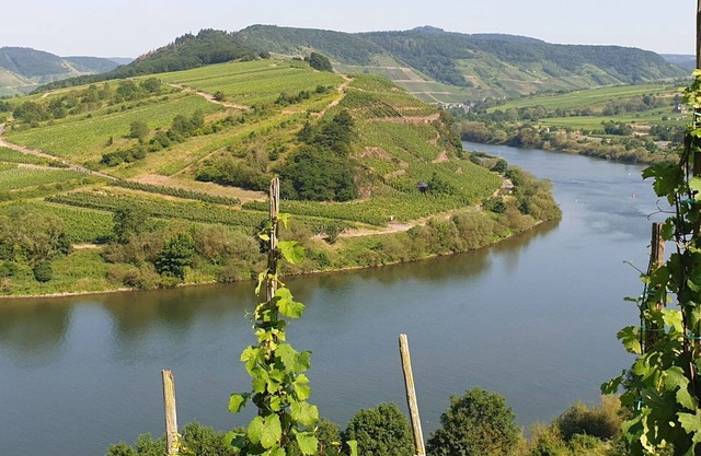 Lovely apartment for 2 guests with WIFI, TV, balcony, pets allowed and parking