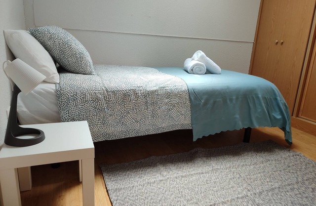 Lovely apartment for 3 people in the north of Madrid