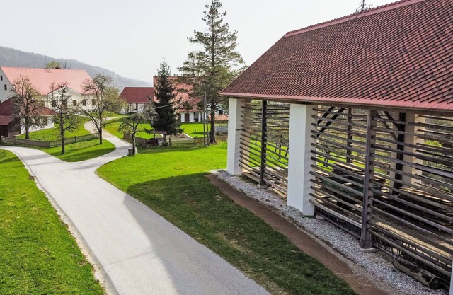 Lovely apartment for 8 guests with pool, WIFI, TV and parking