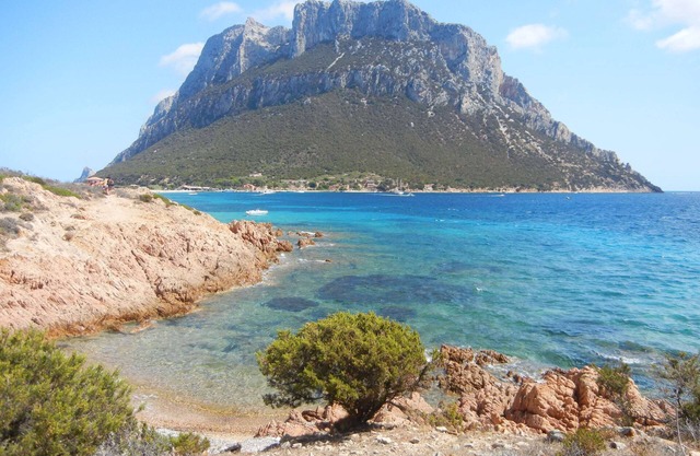 Lovely apartment San Teodoro