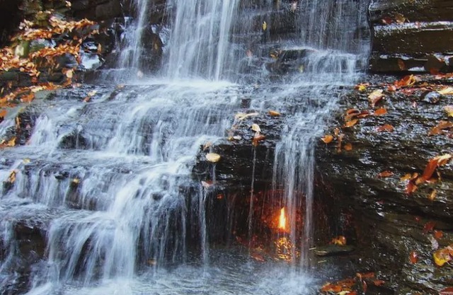 Lovely Find! 2 Perfect Units, Free Breakfast and Indoor Pool.