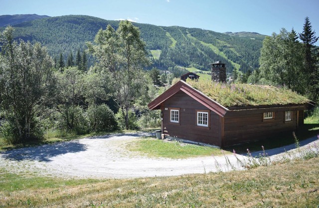 Lovely home in Hemsedal