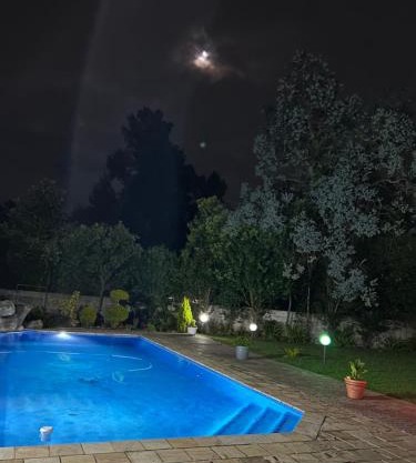 Lumini Gardens
