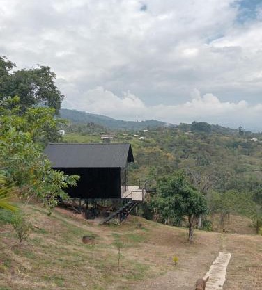 Luna Menguante Refugio de Silencio y Renovación