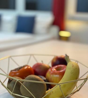 Lux Apartment near Frankfurt!