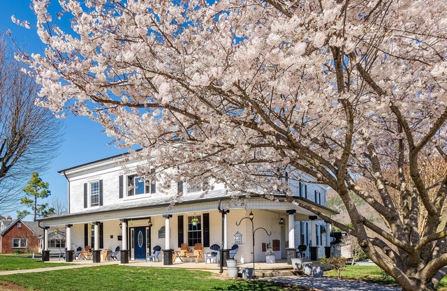 Luxe Virginia Historical Estate w/Charcoal Grill!