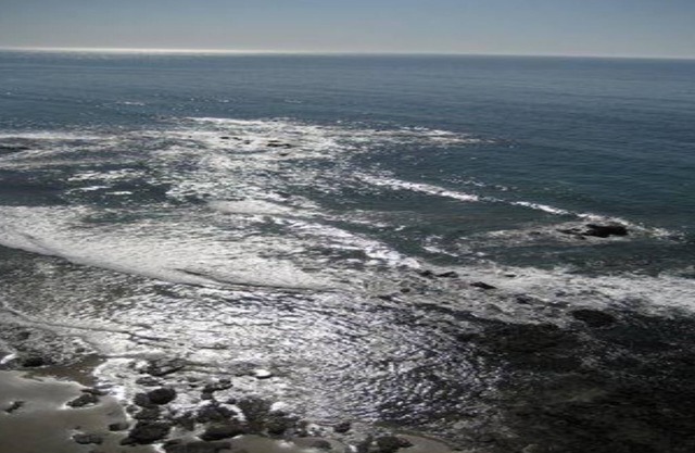 Luxurious 2 Bedroom 2 Bath Oceanfront Condo