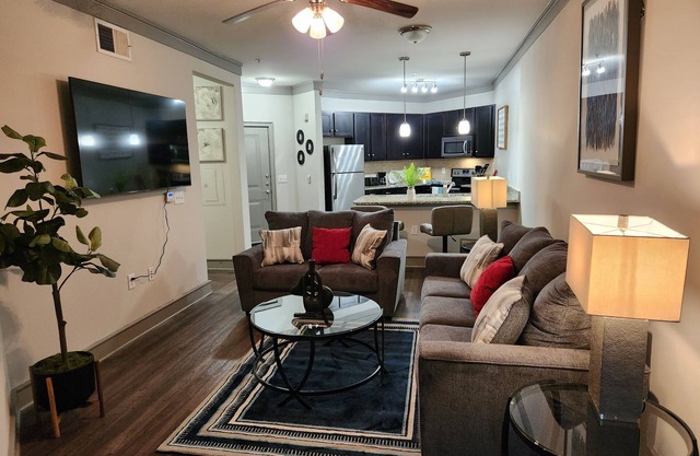 Luxurious and Premium 1bed/bath APT. Beautiful interior decor/Washer/Dryer/Patio