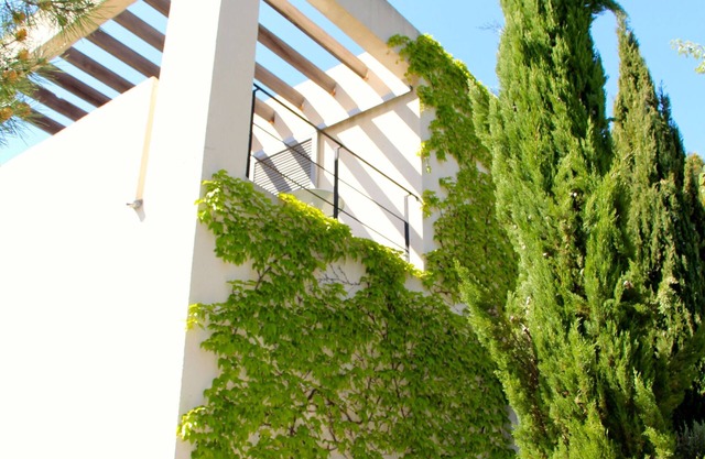 Luxurious designed villa, vineyards, 5000 m2 plot, 13 m pool, close to village
