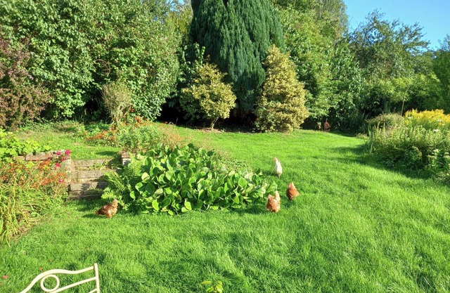 Luxurious Entire Studio in Axminster Suitable for