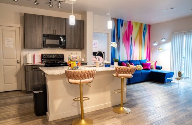 Luxurious Houston Apartment